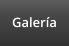 Galer�a