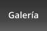 Galer�a